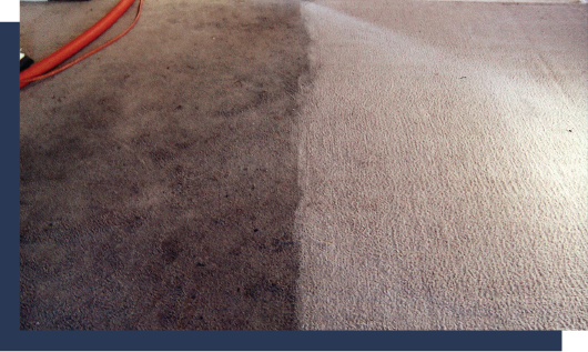 Carpet Before And After