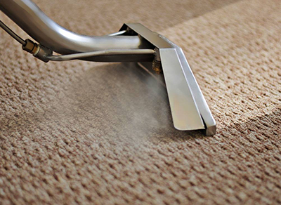 Professional Carpet Cleaning